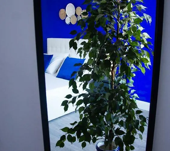 Ama Casa 아파트 피사